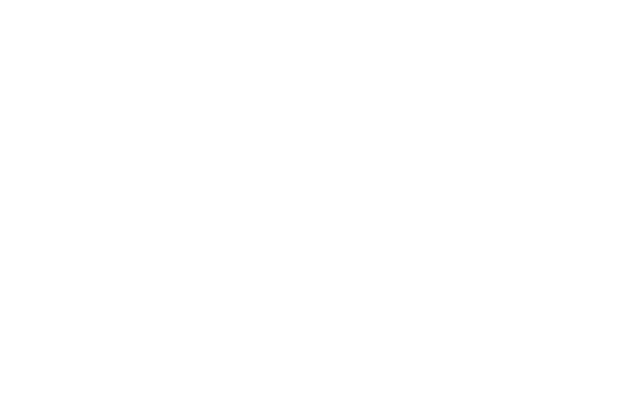 h-control System